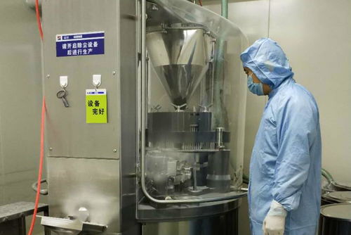 金花制藥廠順利完成GMP符合性自檢工作，全面承接總公司核心業(yè)務(wù)