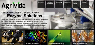 押注下一個前沿 合成生物領域的創新與投資趨勢